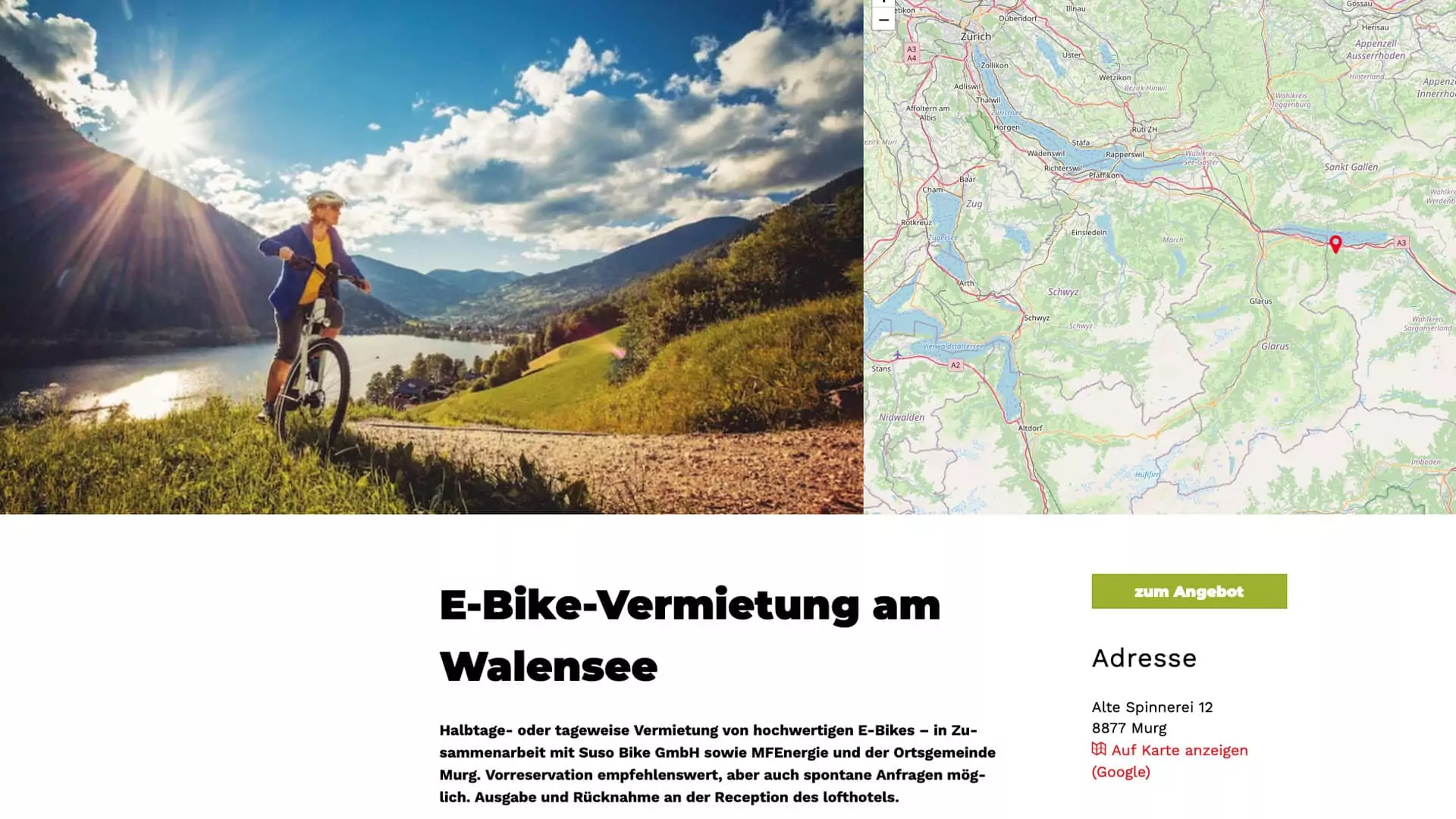 Buchveröffentlichung